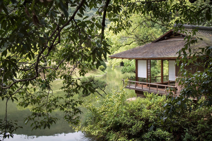 An Elegant Time Eating Morning Congee at a Teahouse in the Park