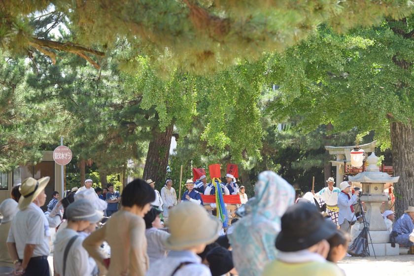 Megijima　the big Sumiyoshi Shrine Festival