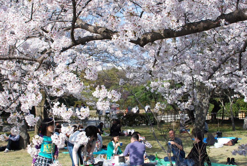 栗林公園でのお花見