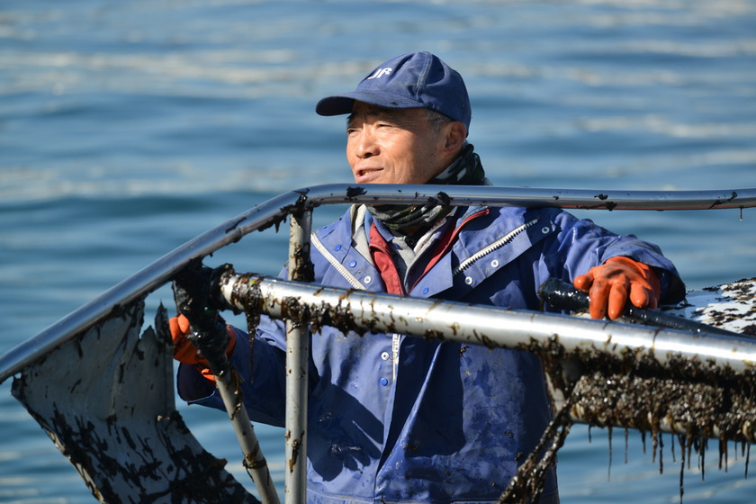 海苔養殖の漁師