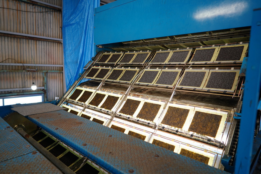 The finished nori come out of a huge machine in full-size sheets, in which they are shaped and dried, moving rhythmically.