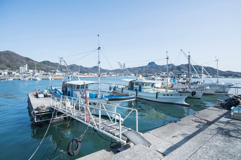 昔ながらの漁港の町並みが残る海辺の町、庵治・牟礼