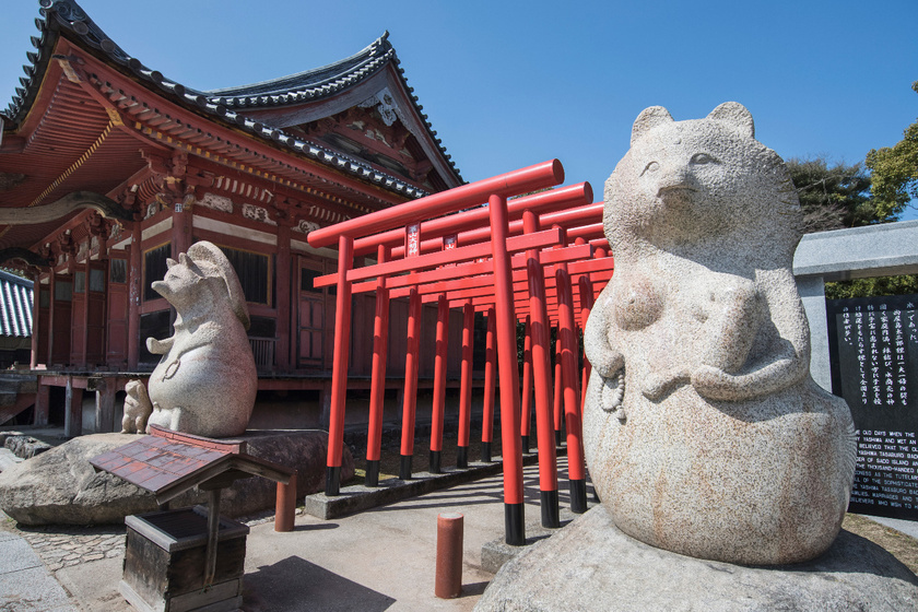 伝説を残したタヌキを祀る屋島