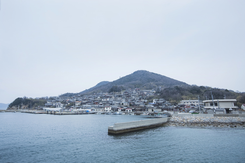 スイセンと島グルメを満喫！「おいでまぁーせ男木 水仙ウォークと海鮮市場」