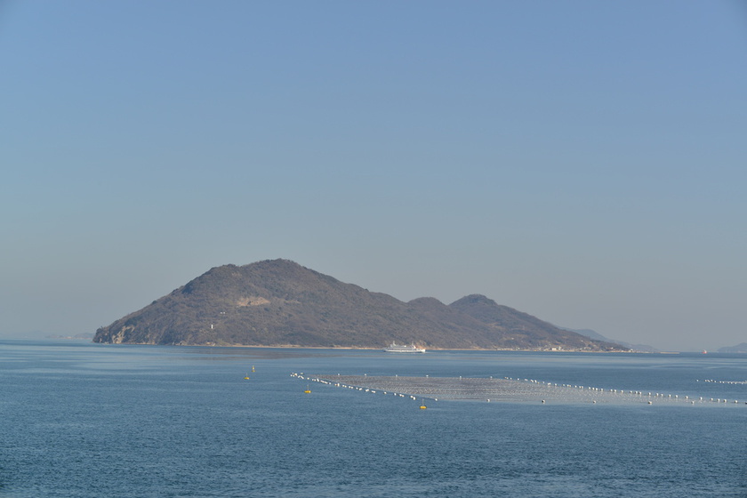 那是養殖筏。那裡養著海苔。