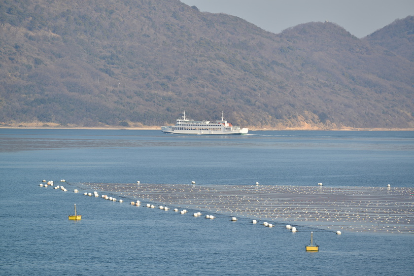 高松港の沖合　養殖のイカダ