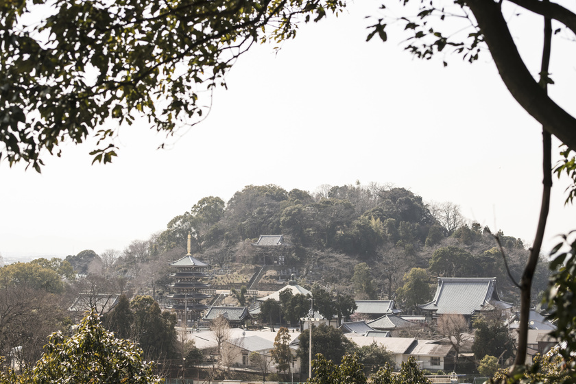 붓쇼잔 산