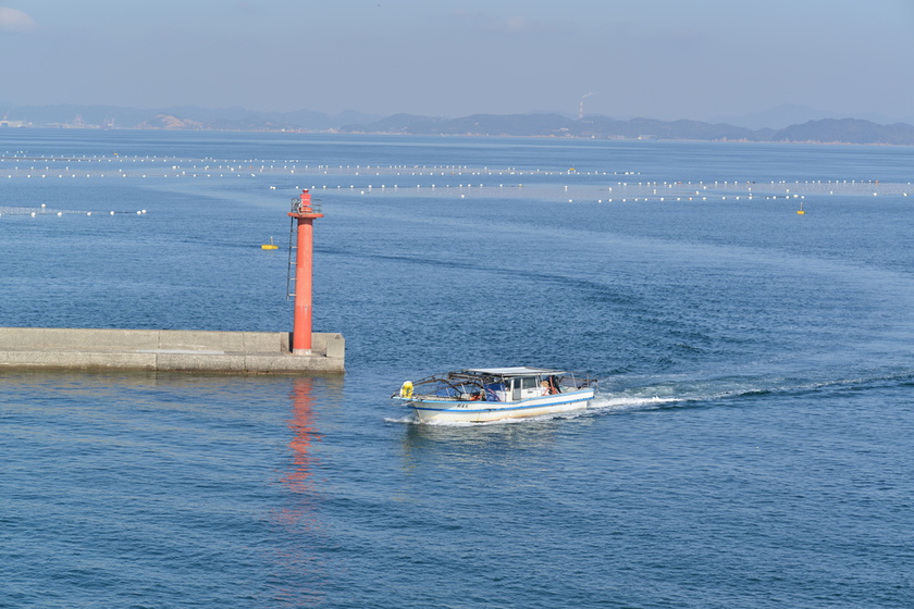 A boat loaded with black nori returned to the port.