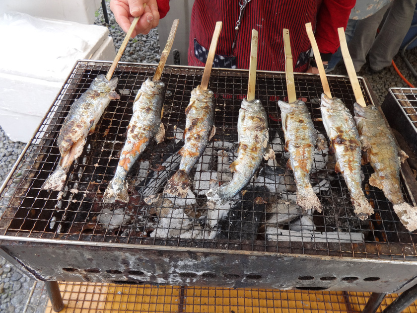 塩江での川魚のつかみどり