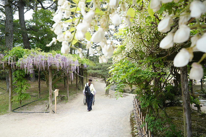 高松市栗林公園庭園を回り、東門を出てかがわ物産館栗林庵へ