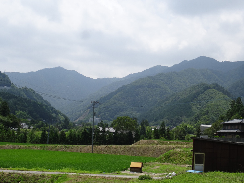塩江エリアは四国山脈につながる緑豊かな土地