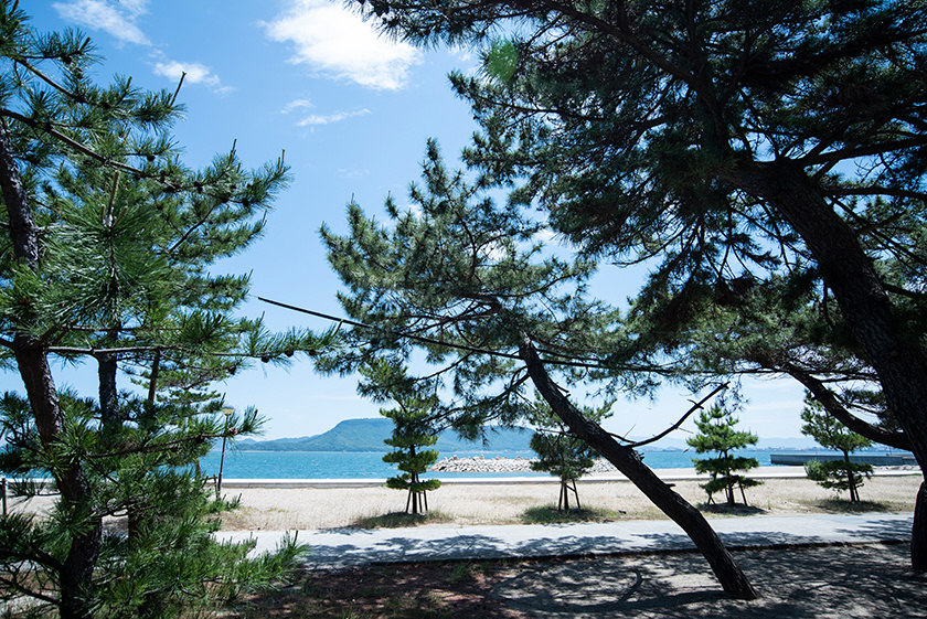 女木島「弓ヶ浜」の松原の前には白砂のビーチが広がっている