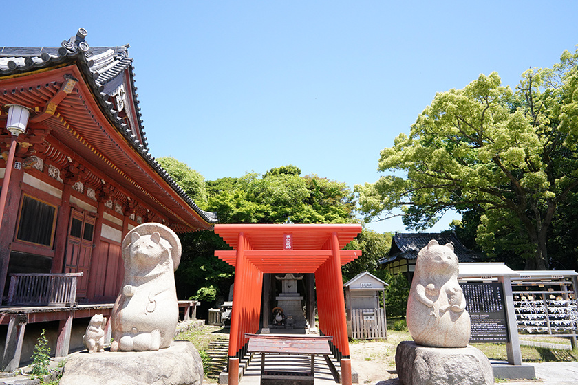 第84番札所・屋島寺本堂隣りにある蓑山大明神には日本三大狸に数えられる太三郎狸