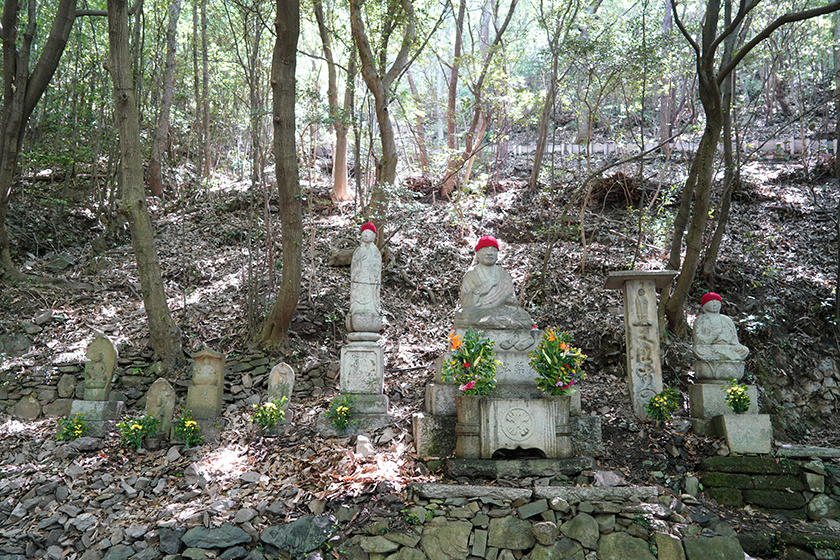 第84番札所・屋島寺へ続く遍路道「不喰梨（くわずのなし）」