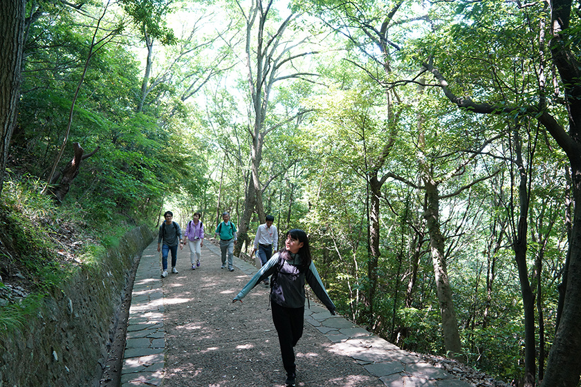 第84番札所・屋島寺へ続く遍路道はウバメガシという広葉樹に覆われているため、夏でも涼しい風が吹き抜ける