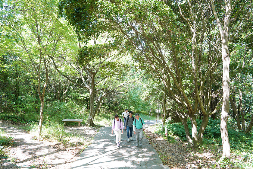 第84番札所・屋島寺へ続く遍路道は木々に囲まれた道