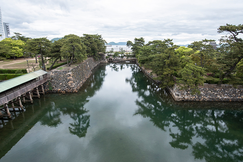 鯛が泳ぐ海水のお堀