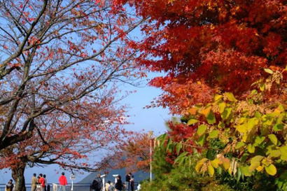 屋島山頂の紅葉