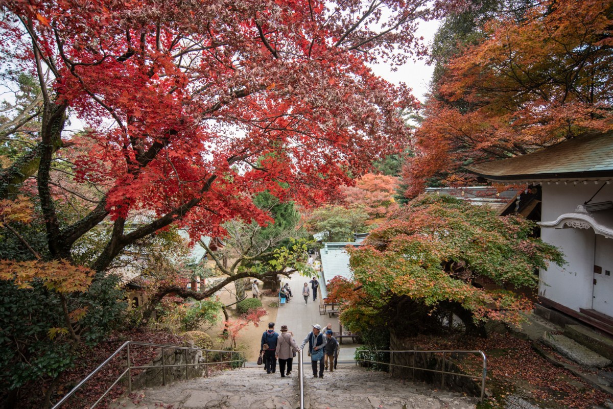 根来寺の本堂へお参り