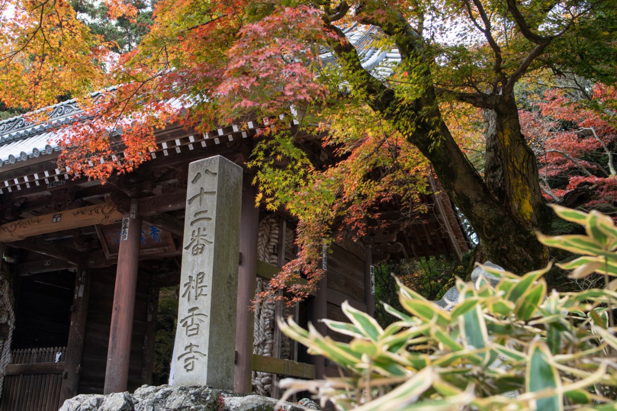 秋の根香寺