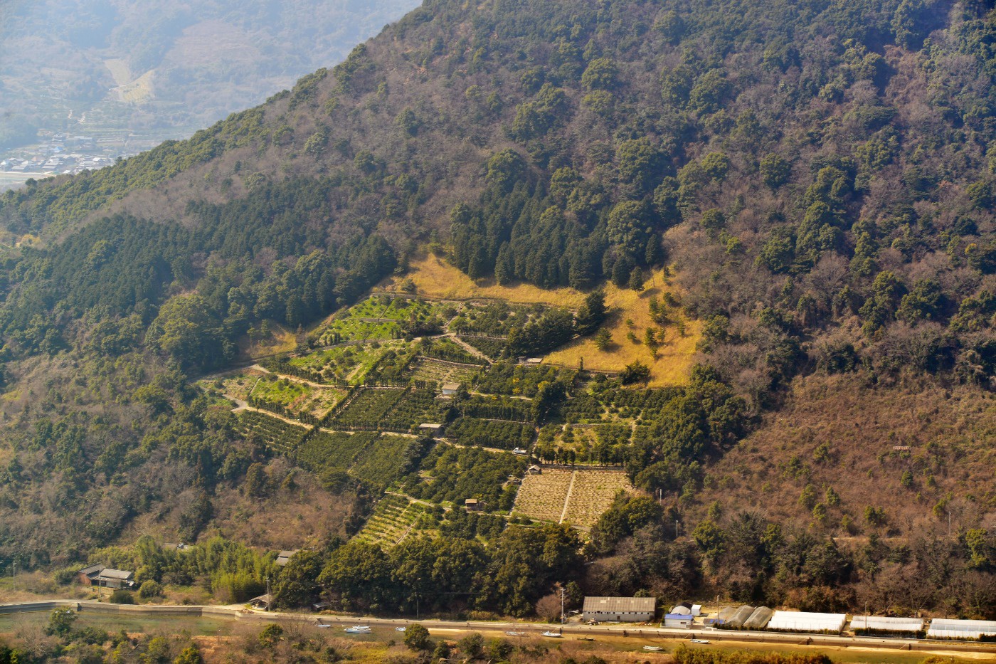 高松市街地から近い瀬戸内海を見下ろす台地・五色台にある果樹農園