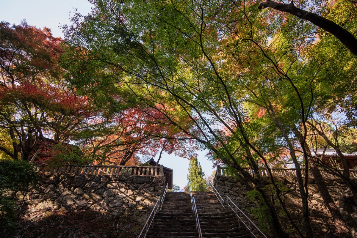 根来寺本堂への階段