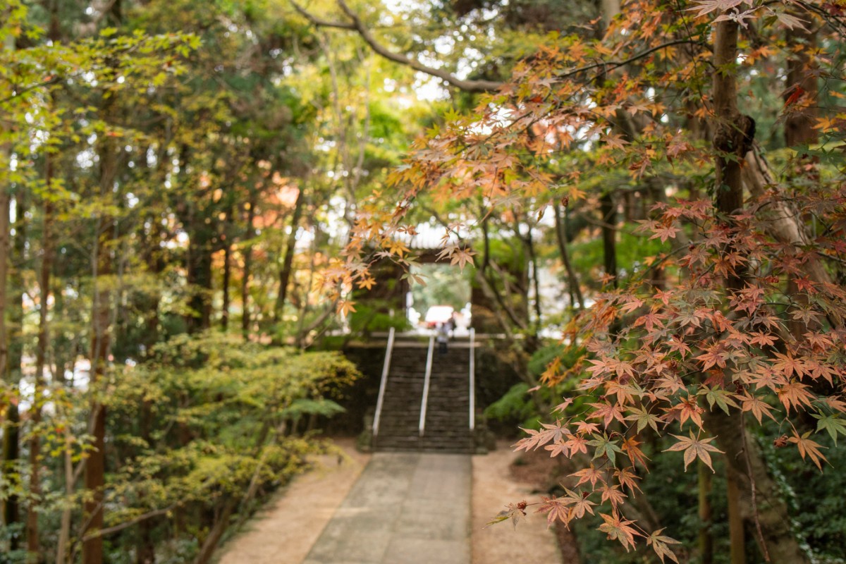 階段からの眺めを楽しむ