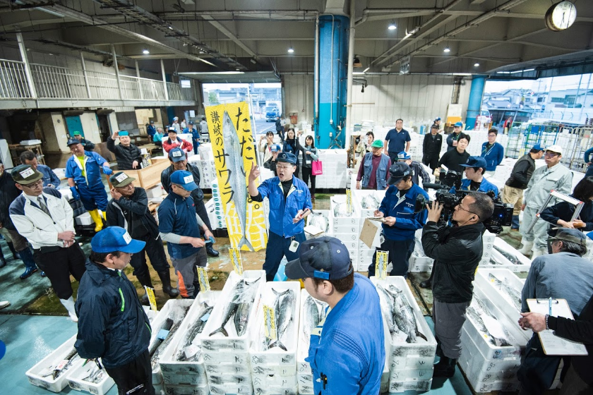 魚市場 サワラの初競り