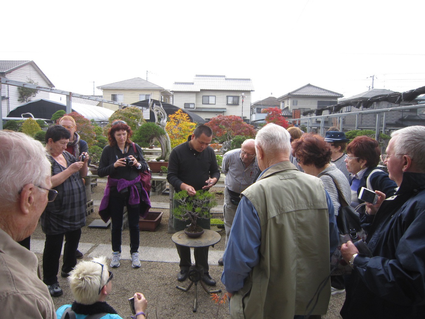 赞岐的骄傲！活艺术“高松盆栽” | 高松观光 | Experience Takamatsu（体验高松）