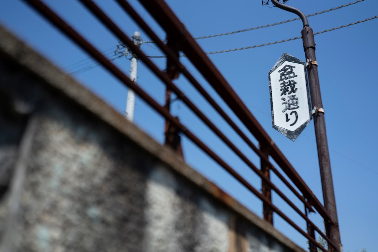 JR高松駅から電車で約10分のJR鬼無駅で降りると、徒歩数分圏内に盆栽園がたくさんあるので、「盆栽通り」とよばれる通りもある