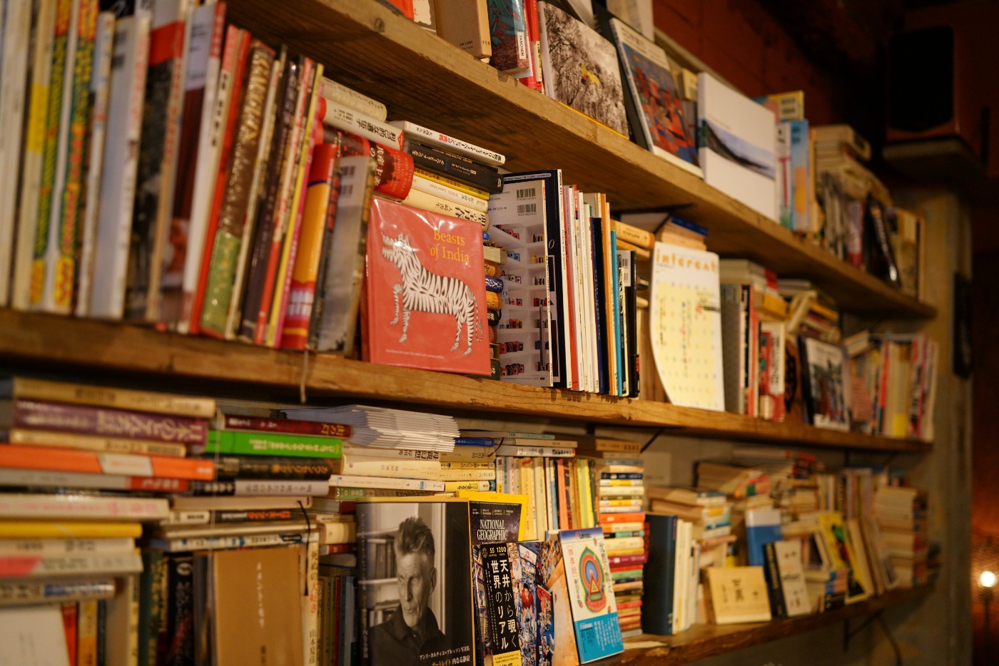 珈琲と本と音楽 半空の壁一面に広がる本　