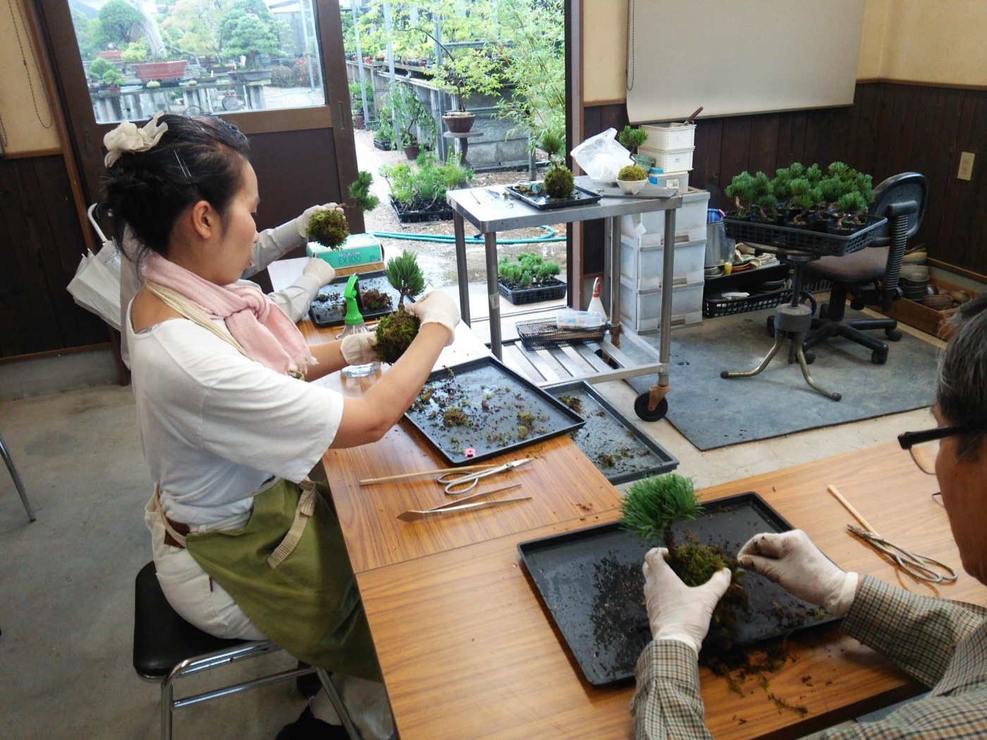 高松盆栽の苔玉体験教室