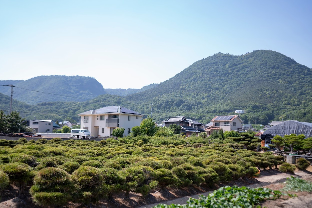 盆栽園とは名前のとおり盆栽の栽培に特化した農家のこと