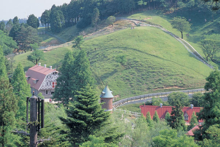 六甲山の景色