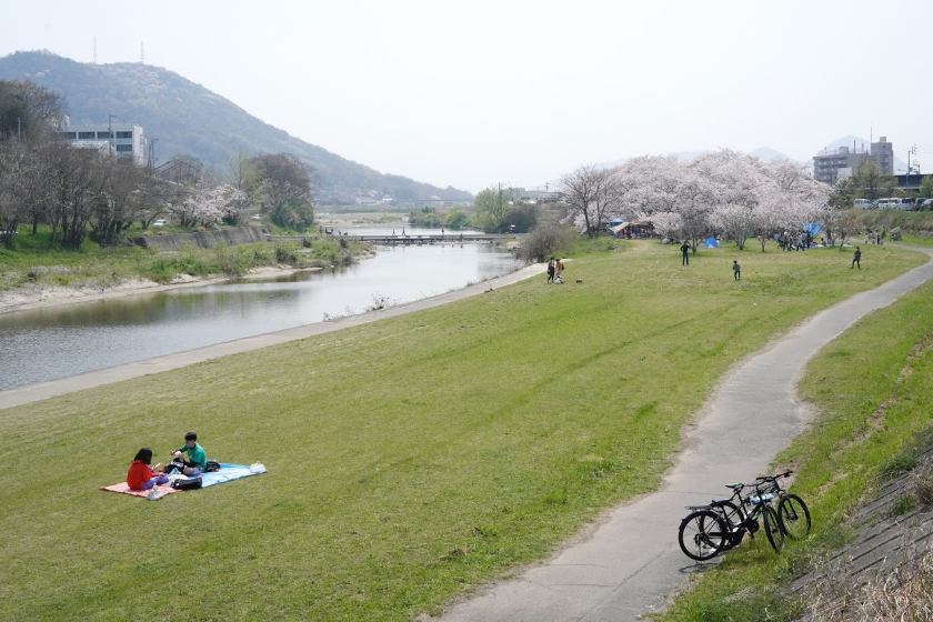 香東川沿いの桜並木