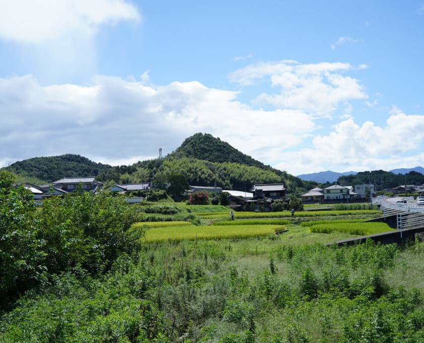 高松市指定無形民俗文化財「ひょうげ祭り」