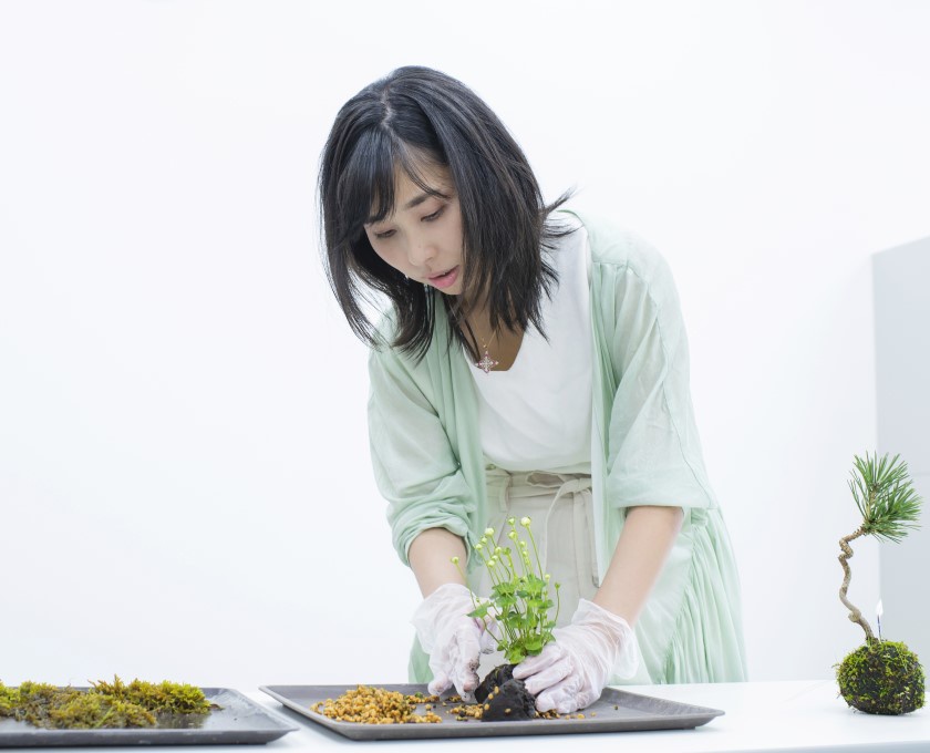 高松盆栽の郷で苔玉作りの体験