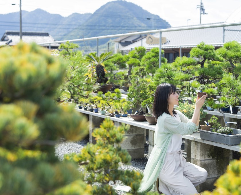 「高松盆栽の郷」の盆栽の棚場