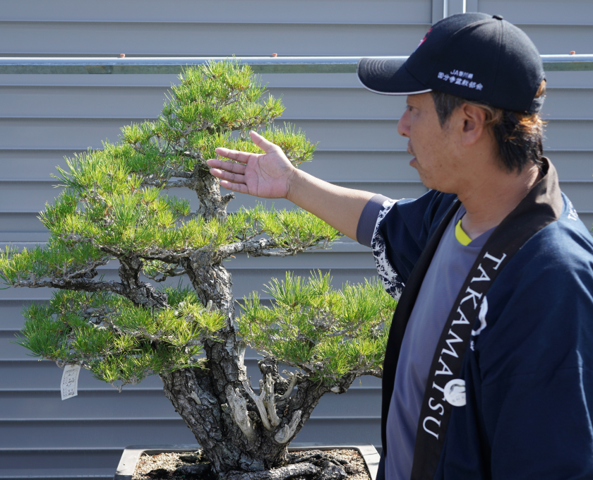 アドバイスしてくれる高松盆栽の郷の橋本佑介さん