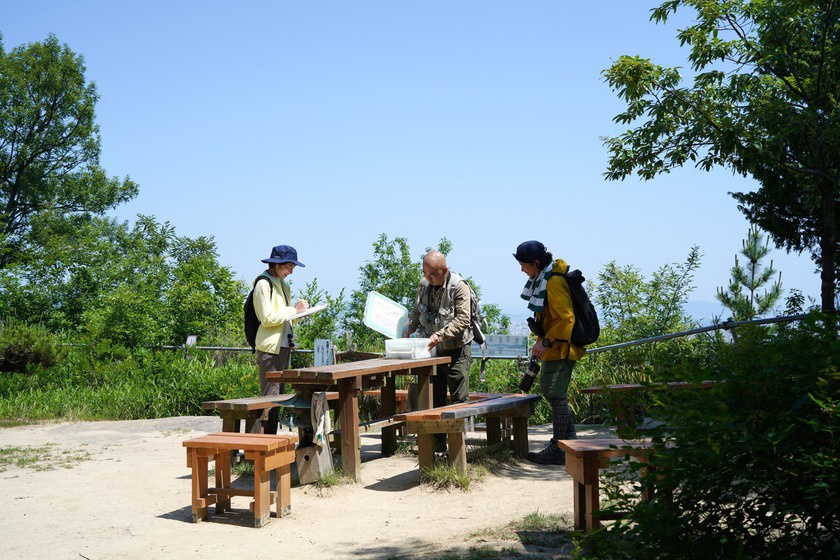 由良山山頂