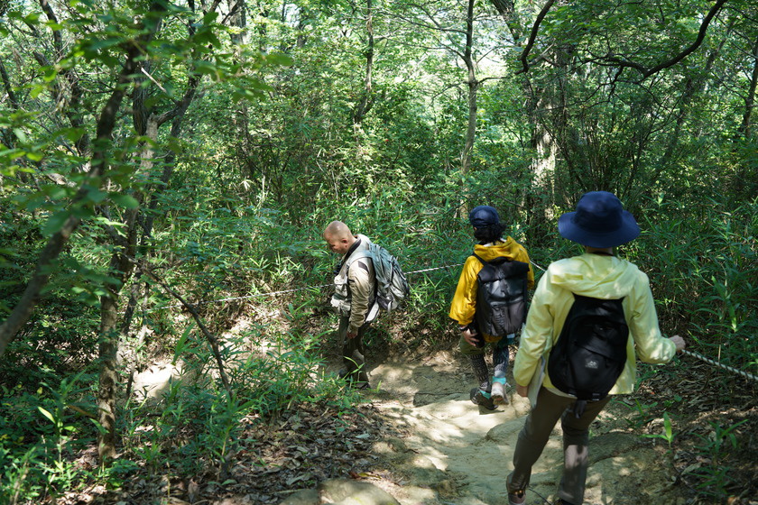 由良山西登山道から下山