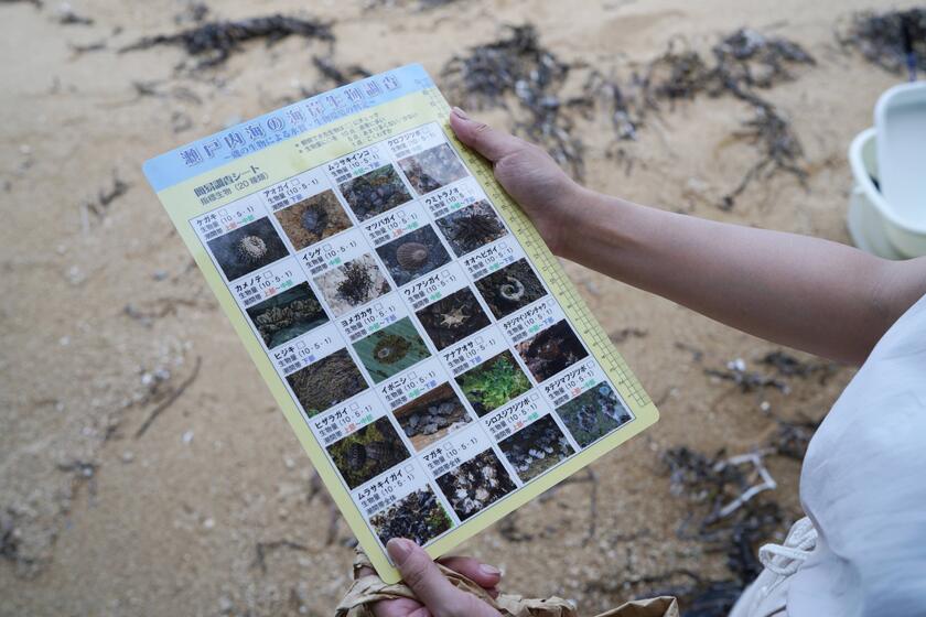 生き物から水質の環境も