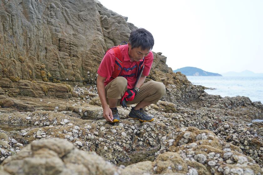 磯の生き物観察