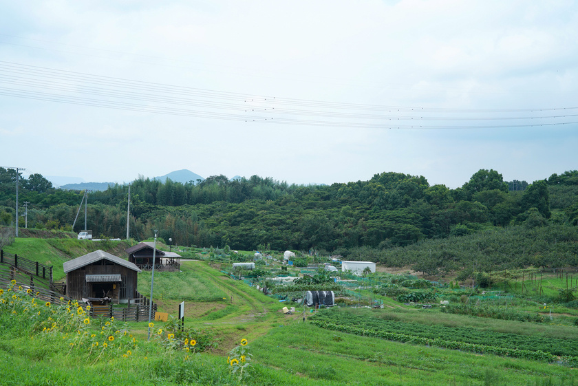 農業交流体験施設 香南アグリーム