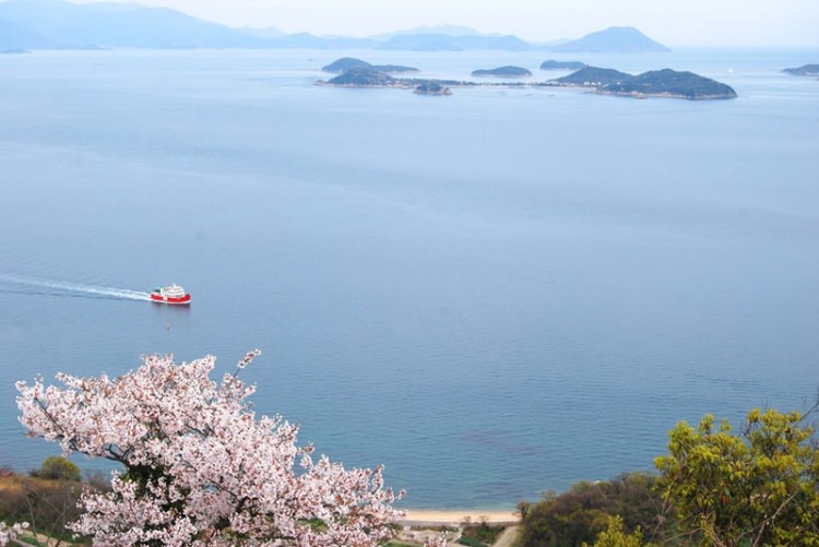 高松市内で楽しめる桜8選