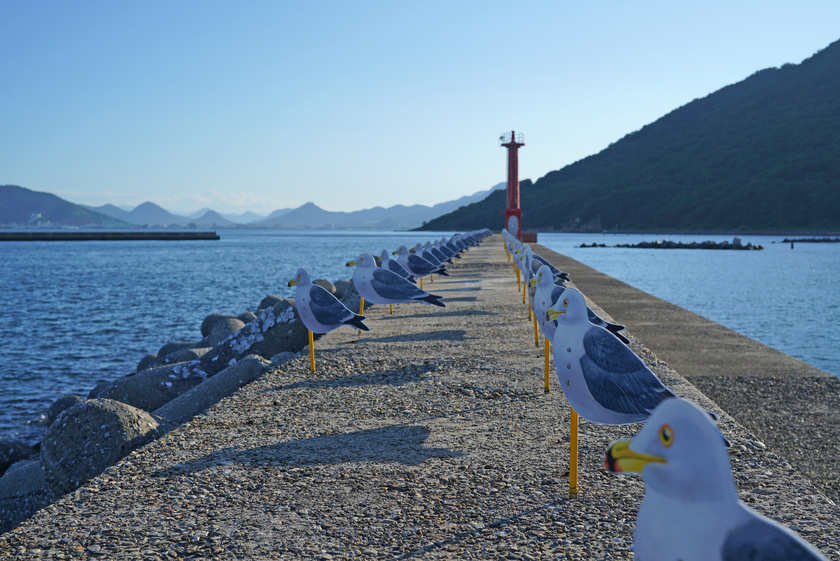 Take a trip while continuing to work! A workation on one of the Kagawa islands in Seto Inland Sea Megijima edition