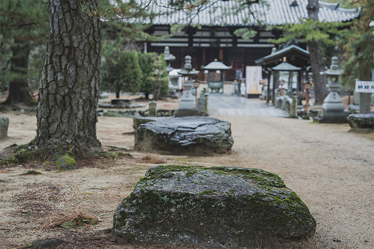 四国で唯一の特別史跡・讃岐国分寺跡とは？古代の歴史にふれる遺跡巡り