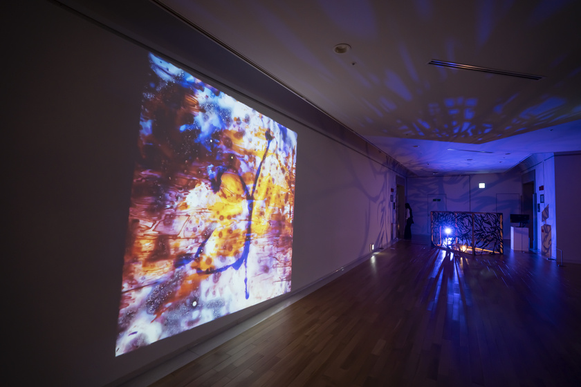 hide☆ #hide2020 Visual art Exhibition hide2020 Visual art Exhibition | TRANSWORLD JAPAN