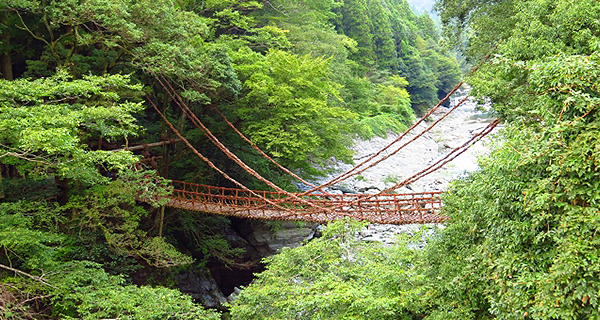 도쿠시마현(徳島県) 이야(祖谷)