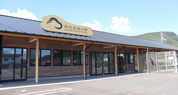 The Home of Takamatsu Bonsai